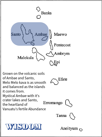 Wisdom | Melo Melo kava (Ambae & Santo Island)