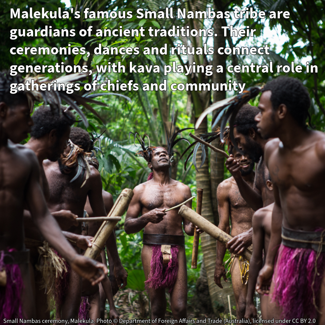 The Chief's Drink | Mbuong / Embong kava (Malekula Island - Land of Smiles)