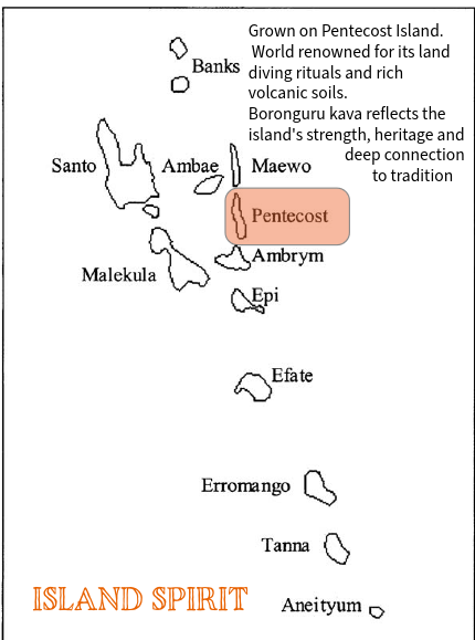 Island Spirit | Borongoru kava (Pentecost Island)