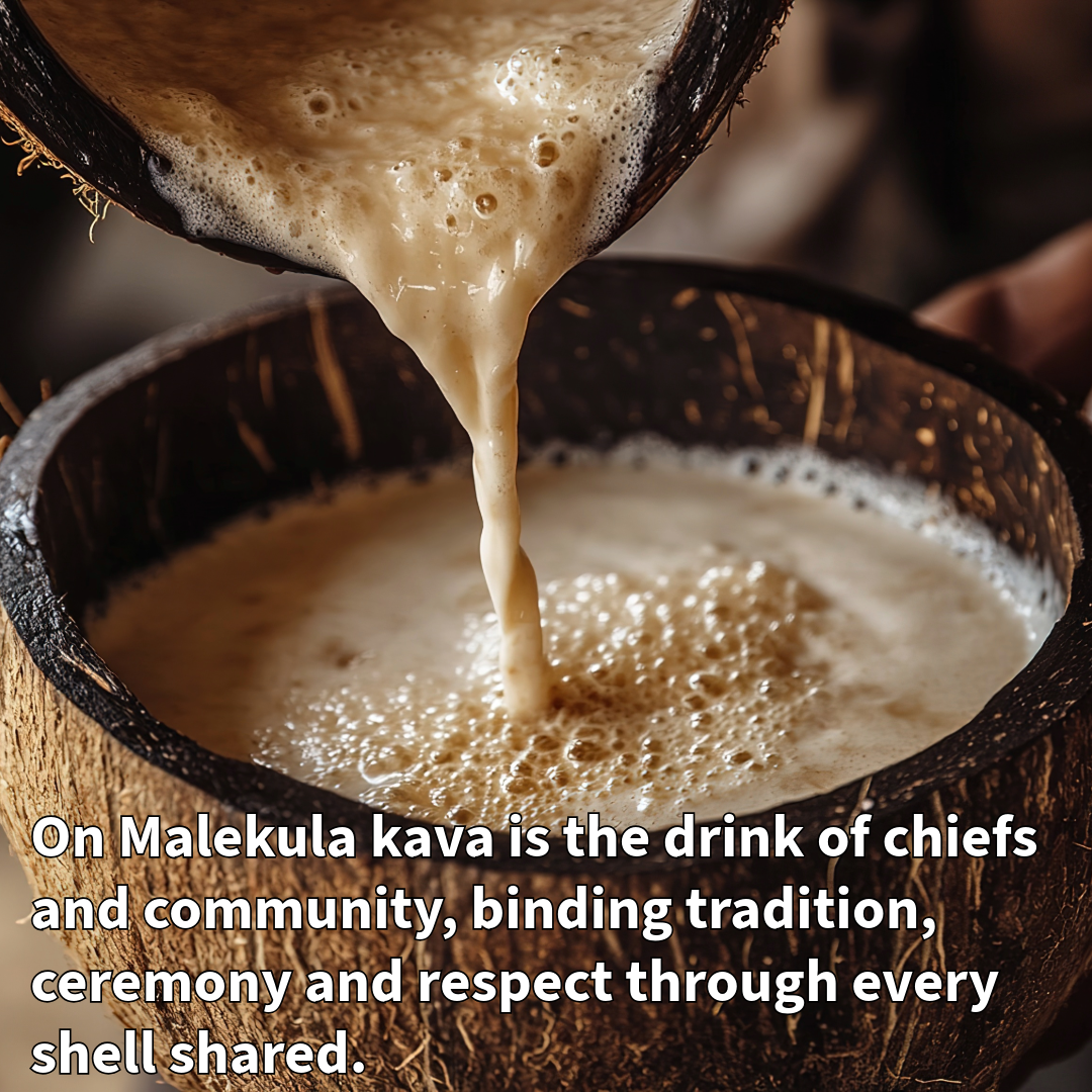 The Chief's Drink | Mbuong / Embong kava (Malekula Island - Land of Smiles)