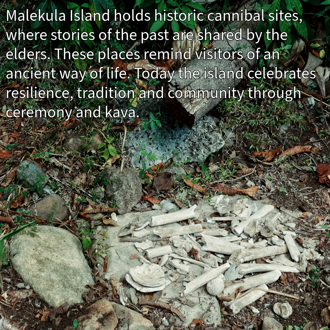 The Chief's Drink | Mbuong / Embong kava (Malekula Island - Land of Smiles)