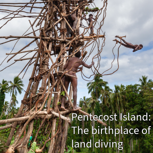 Island Spirit | Borongoru kava (Pentecost Island)