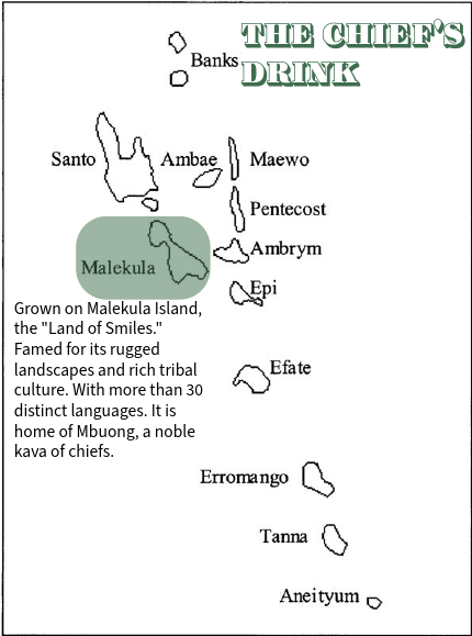 The Chief's Drink | Mbuong / Embong kava (Malekula Island - Land of Smiles)